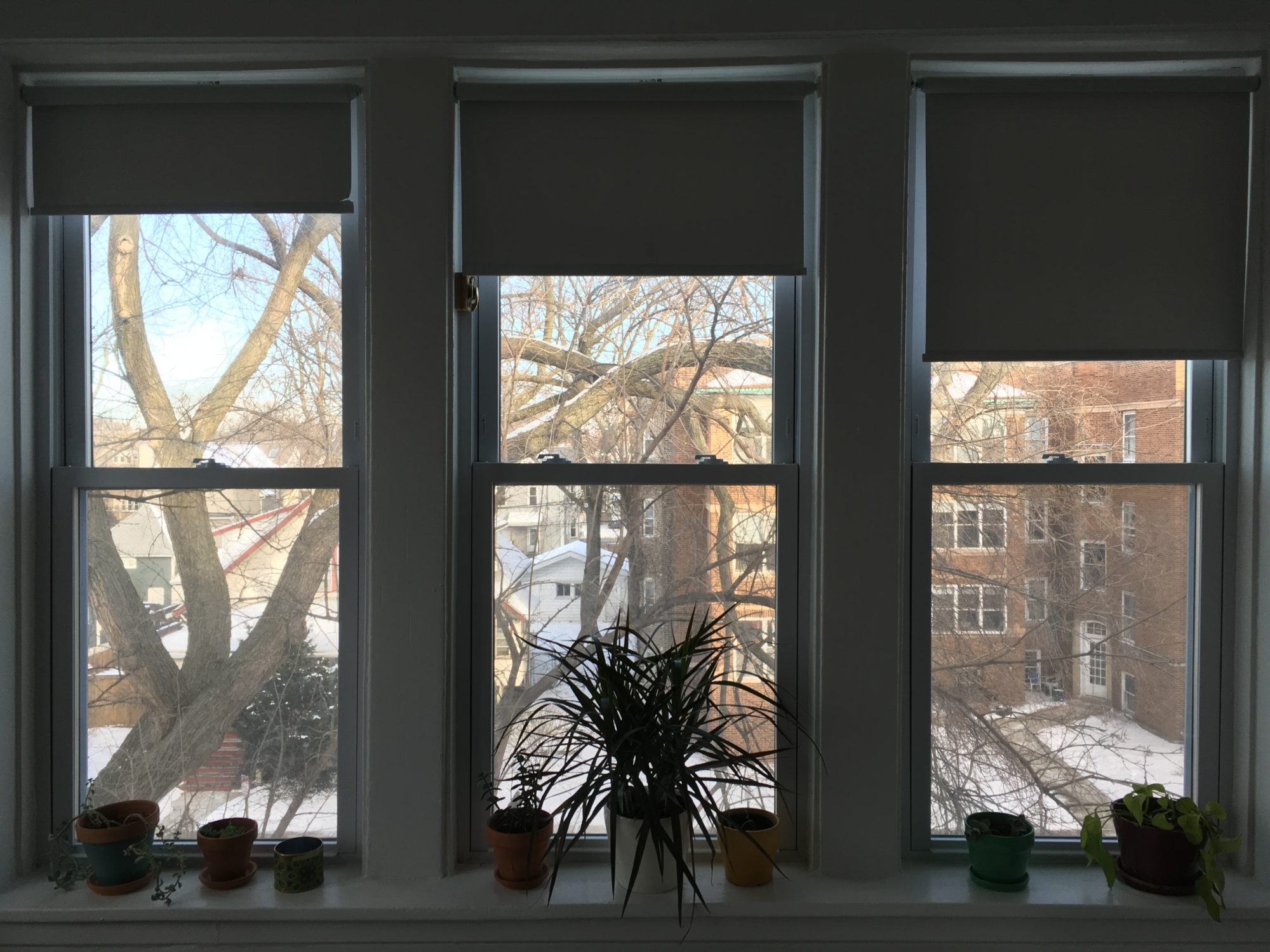 NYE2017-windows